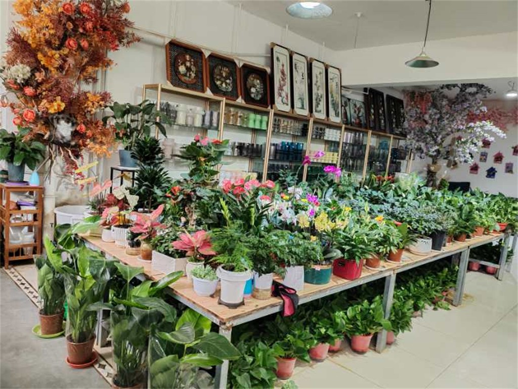 博思花藝婚慶教育，婚慶培訓(xùn)，花藝培訓(xùn)，插花培訓(xùn)，花藝師培訓(xùn)，主持人培訓(xùn)，商務(wù)主持人培訓(xùn)，花店運營培訓(xùn)，花店全系統(tǒng)營銷，小白開花店，小白學(xué)主持，金璽棠婚慶酒店，金璽棠總部，鄭州金麻雀教育科技有限公司