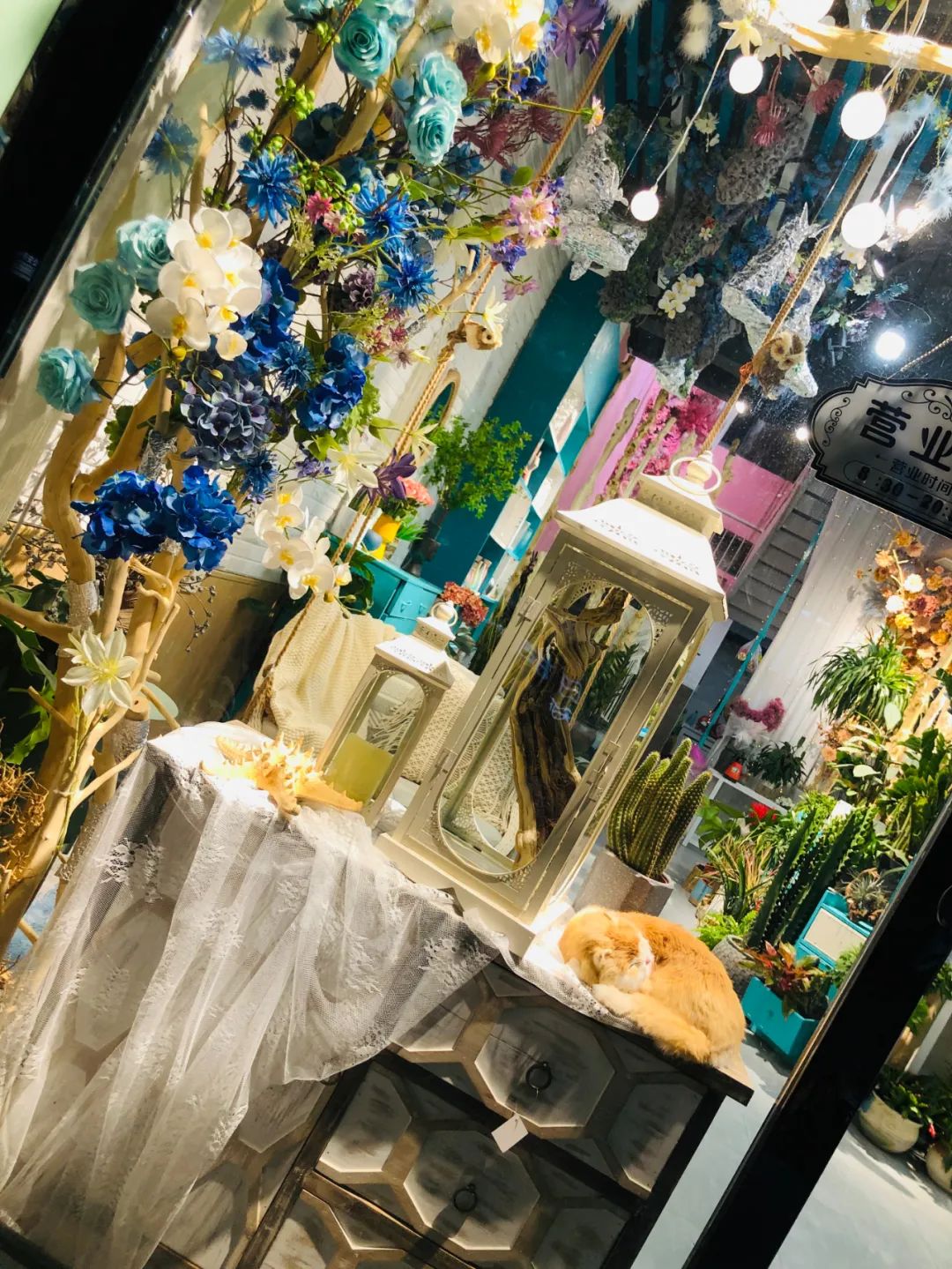 博思花藝婚慶教育，婚慶培訓，花藝培訓，插花培訓，花藝師培訓，主持人培訓，商務主持人培訓，花店運營培訓，花店全系統(tǒng)營銷，小白開花店，小白學主持，金璽棠婚慶酒店，金璽棠總部，鄭州金麻雀教育科技有限公司