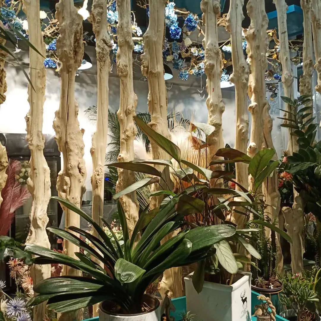 博思花藝婚慶教育，婚慶培訓，花藝培訓，插花培訓，花藝師培訓，主持人培訓，商務主持人培訓，花店運營培訓，花店全系統(tǒng)營銷，小白開花店，小白學主持，金璽棠婚慶酒店，金璽棠總部，鄭州金麻雀教育科技有限公司