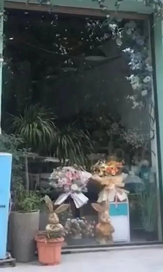 博思花藝婚慶教育，婚慶培訓，花藝培訓，插花培訓，花藝師培訓，主持人培訓，商務主持人培訓，花店運營培訓，花店全系統(tǒng)營銷，小白開花店，小白學主持，金璽棠婚慶酒店，金璽棠總部，鄭州金麻雀教育科技有限公司