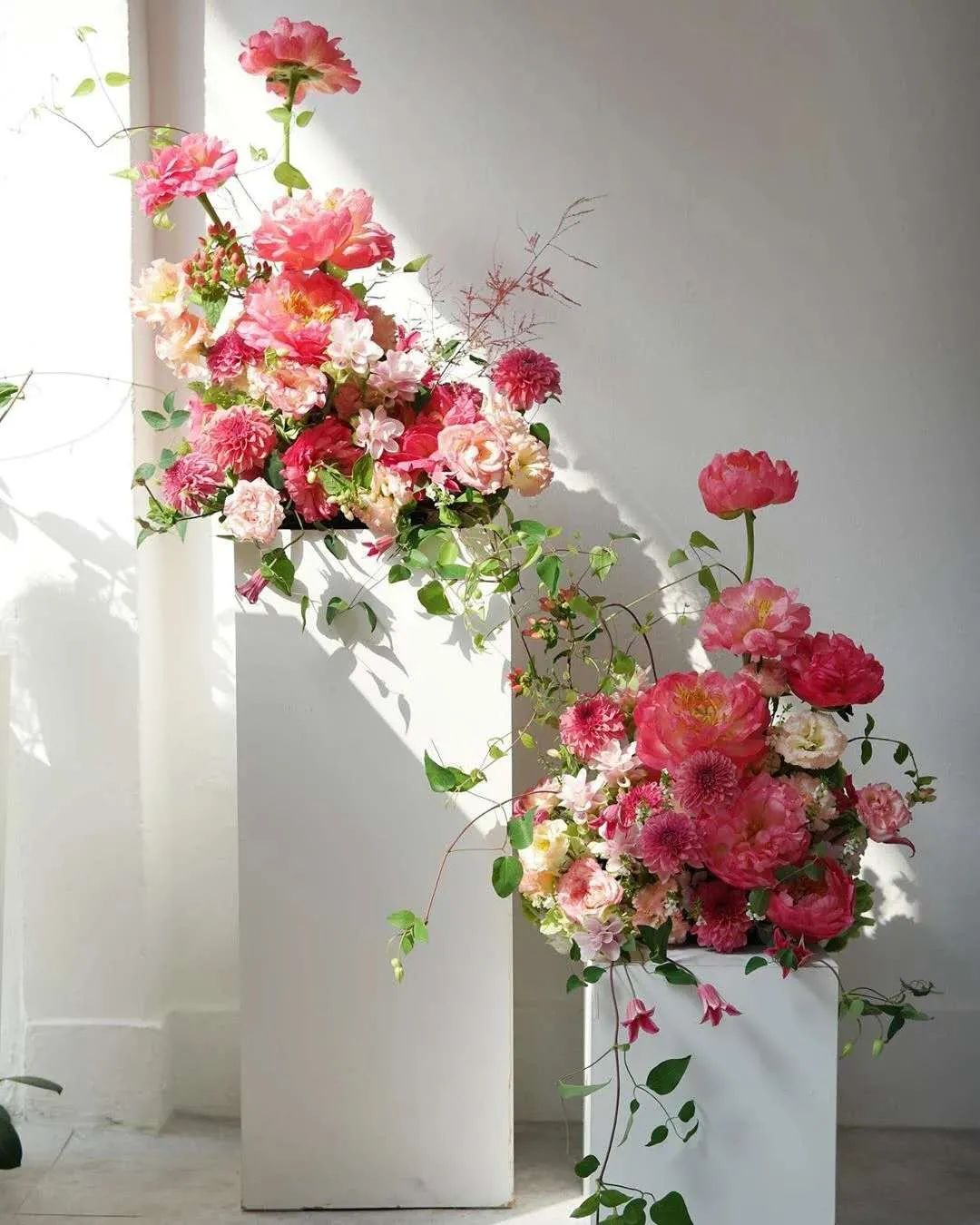 博思花藝婚慶教育，婚慶培訓(xùn)，花藝培訓(xùn)，插花培訓(xùn)，花藝師培訓(xùn)，主持人培訓(xùn)，商務(wù)主持人培訓(xùn)，花店運(yùn)營(yíng)培訓(xùn)，花店全系統(tǒng)營(yíng)銷，小白開花店，小白學(xué)主持，金璽棠婚慶酒店，金璽棠總部，鄭州金麻雀教育科技有限公司